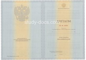 Диплом специалиста 2012-2013 в Самаре